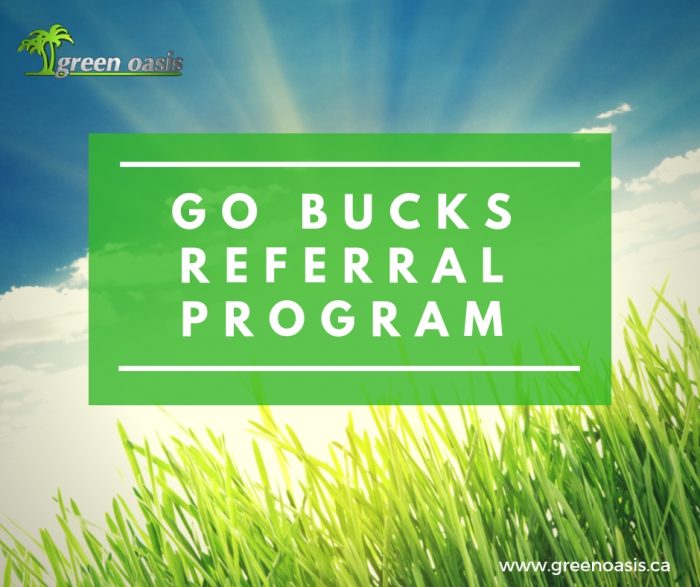 GO Bucks Referral Program