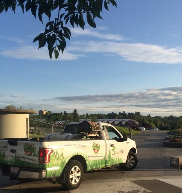 The Best Time of Year to Apply Weed Control