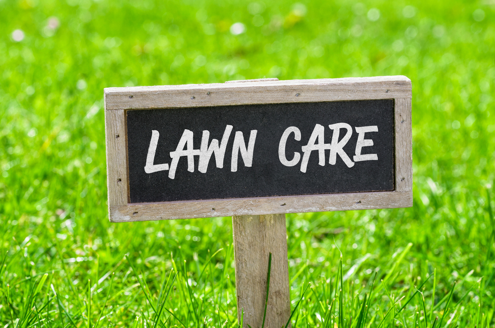 Common Lawn Care Mistakes